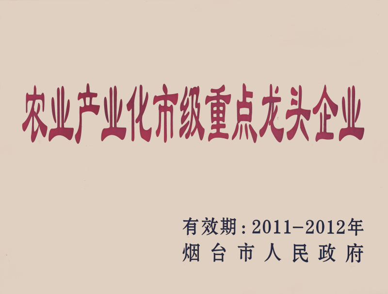 龍頭企業(yè)2011-2012